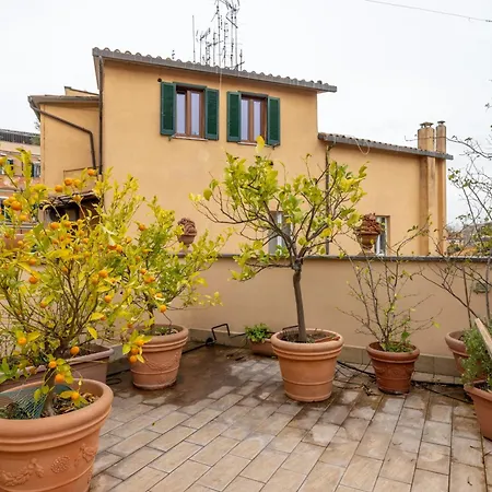 Maison Pelliccia Terrace アパート *